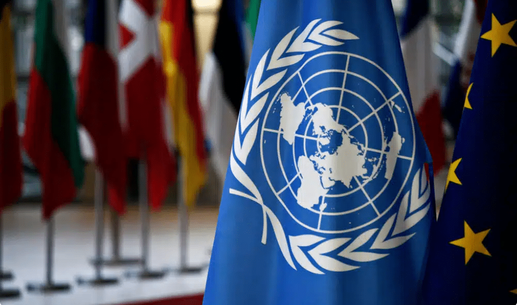 Des experts de l&rsquo;ONU appellent la Turquie à cesser « la criminalisation » des défenseurs des droits humains