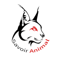L’association Chiens Libres d’Arménie