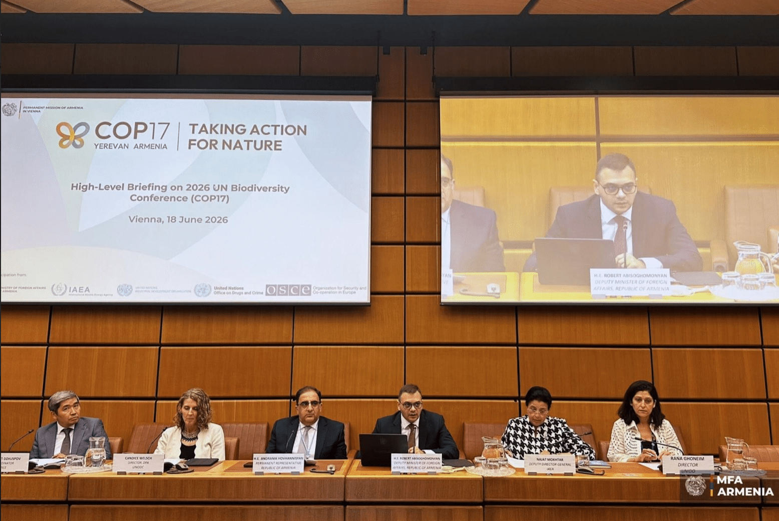 L&rsquo;Arménie présente ses préparatifs pour la COP17 lors d&rsquo;une réunion d&rsquo;information des Nations Unies à Vienne