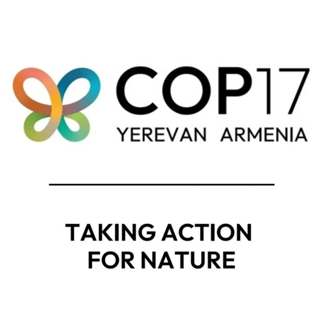 L&rsquo;ambitieux plan de protection de la nature prend du retard, alertent des militants du climat