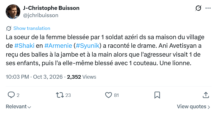 J-Christophe Buisson : comment Ani Avetisyan a défendu ses enfants